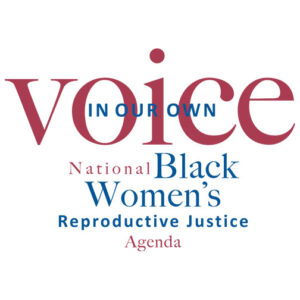 mid-winter-logos_0005_Black womens reproductive agenda logo